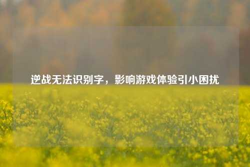 逆战无法识别字，影响游戏体验引小困扰