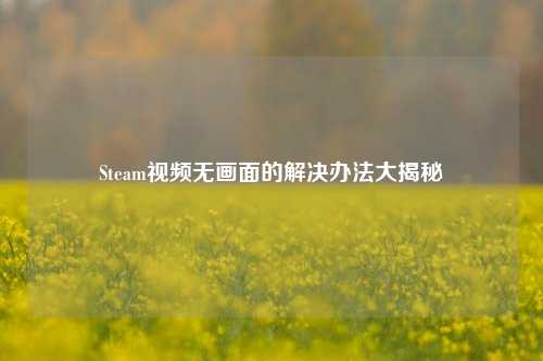 Steam视频无画面的解决办法大揭秘