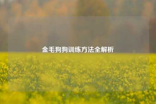 金毛狗狗训练方法全解析