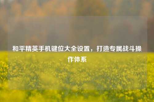 和平精英手机键位大全设置，打造专属战斗操作体系