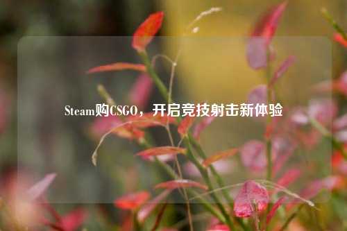 Steam购CSGO，开启竞技射击新体验
