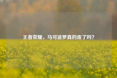 王者荣耀，马可波罗真的废了吗？