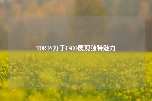 TORON刀于CSGO展现独特魅力