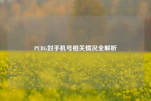 PUBG封手机号相关情况全解析