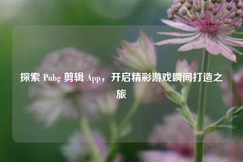 探索 Pubg 剪辑 App，开启精彩游戏瞬间打造之旅