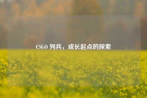 CSGO 列兵，成长起点的探索