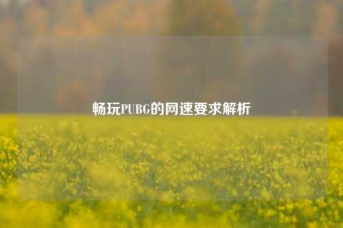 畅玩PUBG的网速要求解析