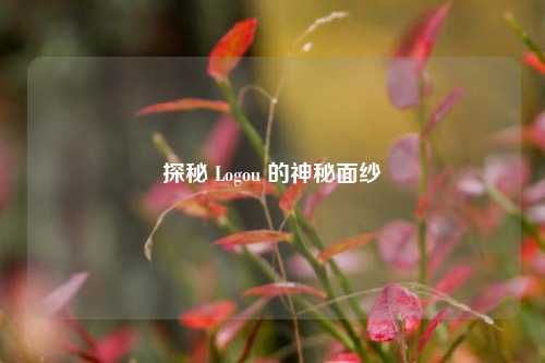 探秘 Logou 的神秘面纱
