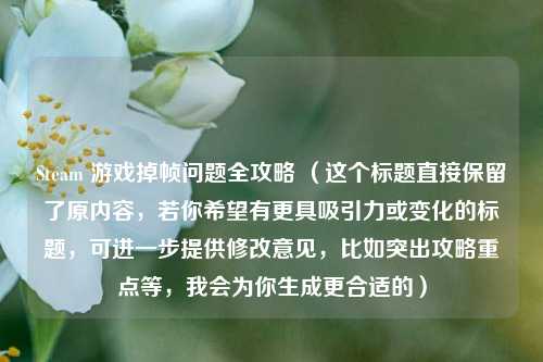 Steam 游戏掉帧问题全攻略 （这个标题直接保留了原内容，若你希望有更具吸引力或变化的标题，可进一步提供修改意见，比如突出攻略重点等，我会为你生成更合适的）