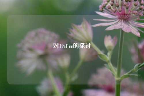 对19cf cc的探讨