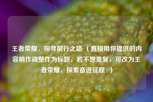 王者荣耀，探寻前行之路 （直接用你提供的内容稍作调整作为标题，若不想重复，可改为王者荣耀，探索奋进征程  ）