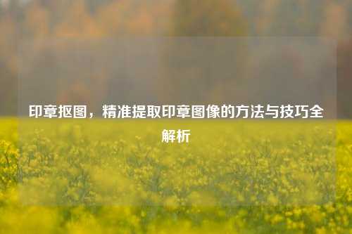 印章抠图，精准提取印章图像的 *** 与技巧全解析