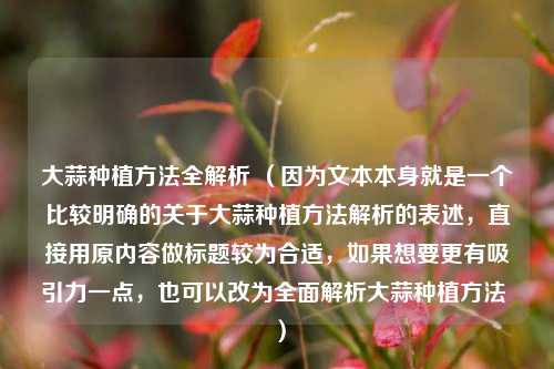 大蒜种植 *** 全解析 （因为文本本身就是一个比较明确的关于大蒜种植 *** 解析的表述，直接用原内容做标题较为合适，如果想要更有吸引力一点，也可以改为全面解析大蒜种植 ***  ）