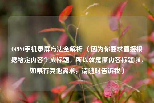 OPPO手机录屏 *** 全解析 （因为你要求直接根据给定内容生成标题，所以就是原内容标题啦，如果有其他需求，请随时告诉我）