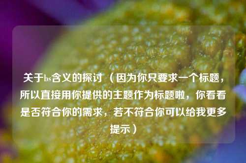 关于bs含义的探讨 （因为你只要求一个标题，所以直接用你提供的主题作为标题啦，你看看是否符合你的需求，若不符合你可以给我更多提示）