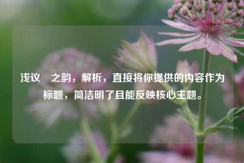 浅议旻之韵，解析，直接将你提供的内容作为标题，简洁明了且能反映核心主题。