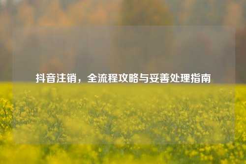 抖音注销，全流程攻略与妥善处理指南