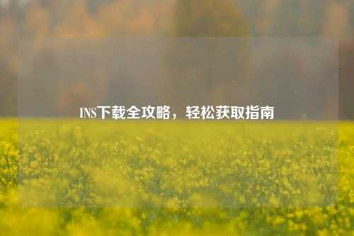 INS下载全攻略，轻松获取指南