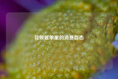 花呗账单里的消费百态