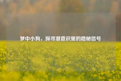 梦中小狗，探寻潜意识里的隐秘信号