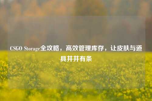 CSGO Storage全攻略，高效管理库存，让皮肤与道具井井有条