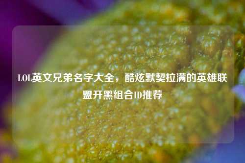 LOL英文兄弟名字大全,酷炫默契拉满的英雄联盟开黑组合ID推荐