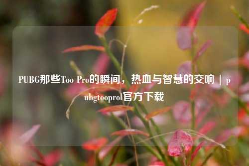 PUBG那些Too Pro的瞬间,热血与智慧的交响 | pubgtooprol官方下载