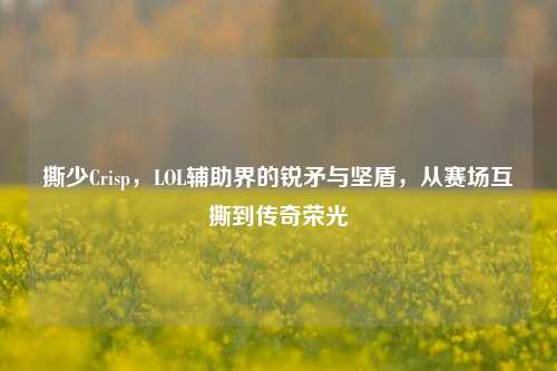 撕少Crisp,LOL辅助界的锐矛与坚盾,从赛场互撕到传奇荣光