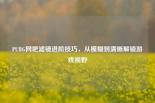 PUBG网吧滤镜进阶技巧,从模糊到清晰解锁游戏视野