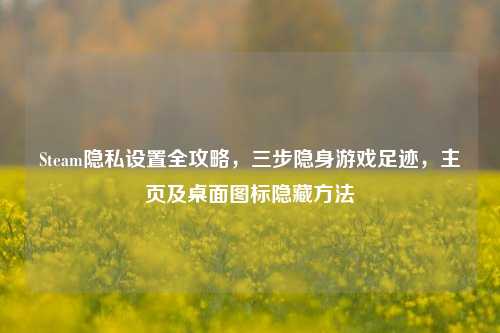 Steam隐私设置全攻略,三步隐身游戏足迹,主页及桌面图标隐藏 ***