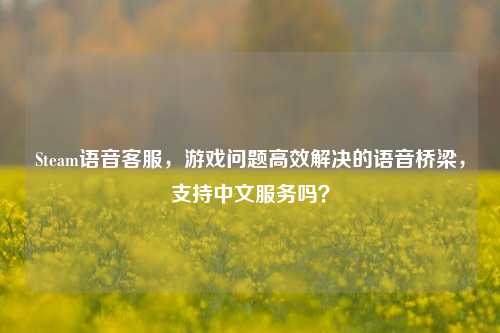 Steam语音 *** ，游戏问题高效解决的语音桥梁，支持中文服务吗？