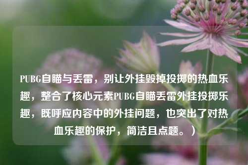 PUBG自瞄与丢雷，别让外挂毁掉投掷的热血乐趣，整合了核心元素PUBG自瞄丢雷外挂投掷乐趣，既呼应内容中的外挂问题，也突出了对热血乐趣的保护，简洁且点题。）