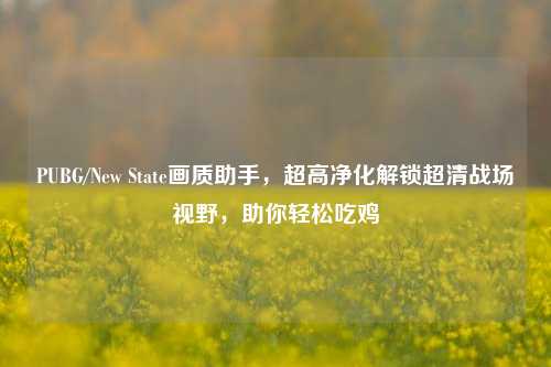 PUBG/New State画质助手，超高净化解锁超清战场视野，助你轻松吃鸡