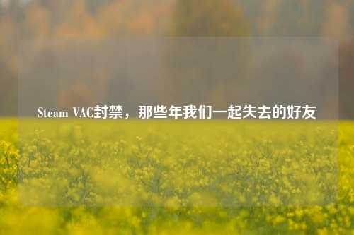 Steam VAC封禁，那些年我们一起失去的好友