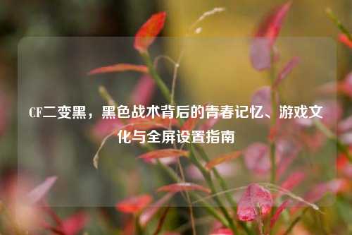 CF二变黑，黑色战术背后的青春记忆、游戏文化与全屏设置指南