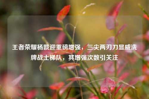 王者荣耀杨戬迎重磅增强，三尖两刃刀显威洗牌战士梯队，其增强次数引关注