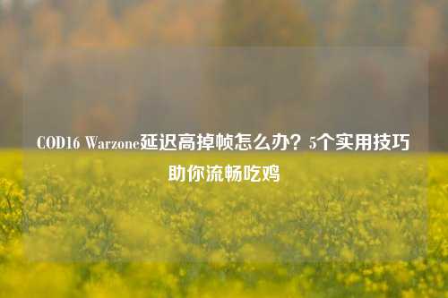 COD16 Warzone延迟高掉帧怎么办？5个实用技巧助你流畅吃鸡