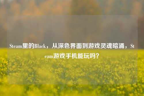 Steam里的Black,从深 *** 面到游戏灵魂暗涌,Steam游戏手机能玩吗?