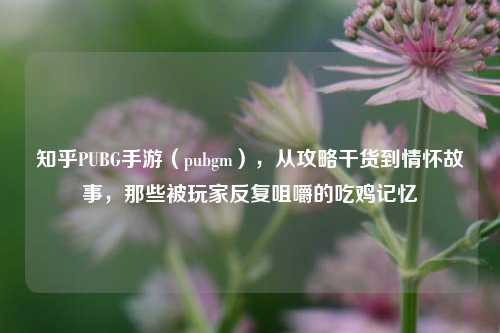 知乎PUBG手游（pubgm），从攻略干货到情怀故事，那些被玩家反复咀嚼的吃鸡记忆
