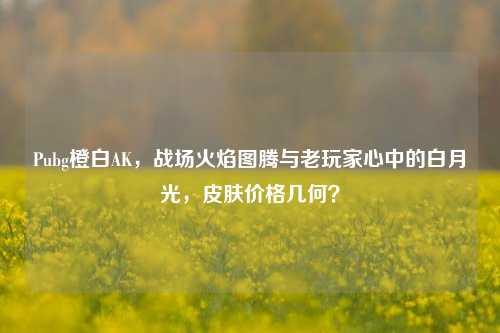 Pubg橙白AK，战场火焰图腾与老玩家心中的白月光，皮肤价格几何？