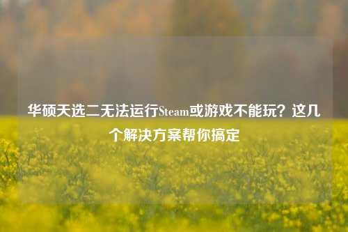 华硕天选二无法运行Steam或游戏不能玩?这几个解决方案帮你搞定