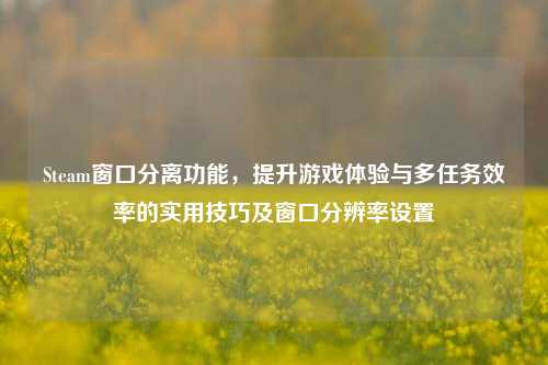 Steam窗口分离功能，提升游戏体验与多任务效率的实用技巧及窗口分辨率设置