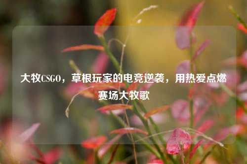 大牧CSGO，草根玩家的电竞逆袭，用热爱点燃赛场大牧歌