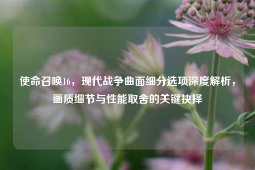 使命召唤16，现代战争曲面细分选项深度解析，画质细节与性能取舍的关键抉择