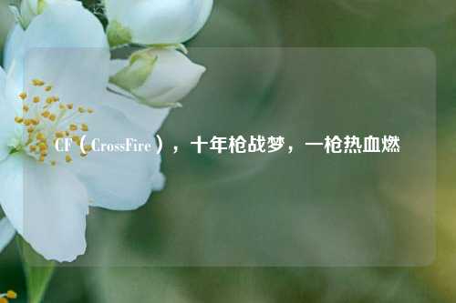 CF（CrossFire），十年枪战梦，一枪热血燃