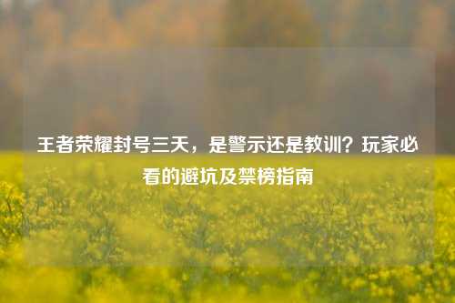 王者荣耀封号三天，是警示还是教训？玩家必看的避坑及禁榜指南