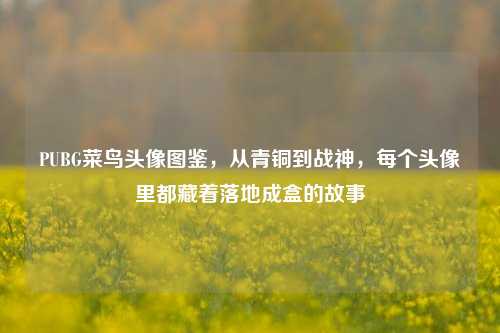 PUBG菜鸟头像图鉴，从青铜到战神，每个头像里都藏着落地成盒的故事