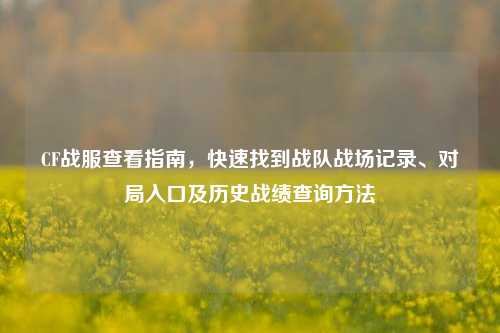 CF战服查看指南，快速找到战队战场记录、对局入口及历史战绩查询 *** 