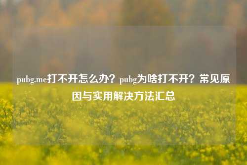 pubg.me打不开怎么办？pubg为啥打不开？常见原因与实用解决 *** 汇总