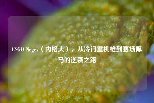 CSGO Negev（内格夫），从冷门重机枪到赛场黑马的逆袭之路